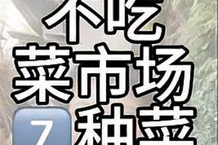 Woj：黄蜂新老板计划斥资3.15亿美元来翻新球队主场和建新训练馆